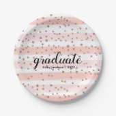Chic Pink & Gold Striped Graduparty Borden Papieren Bordje (Voorkant)