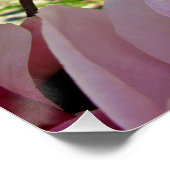 Chic Pink Magnolia Floral Foto Poster Print (Hoek)