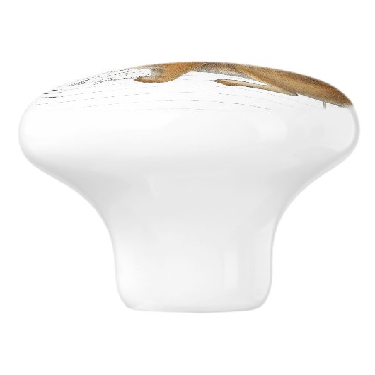 Chic  Rabbit Fern French Script Knob Keramische Knop (Zijkant)