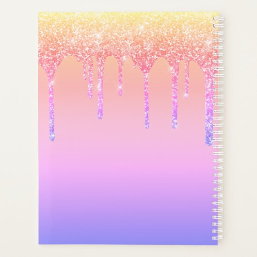 Chic Rainbow Glitter Drift Sparkle Monogram Naam Planner (Achterkant)