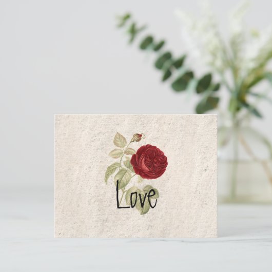  chic Romantic Girly Red Rose Briefkaart (Staand voorkant)