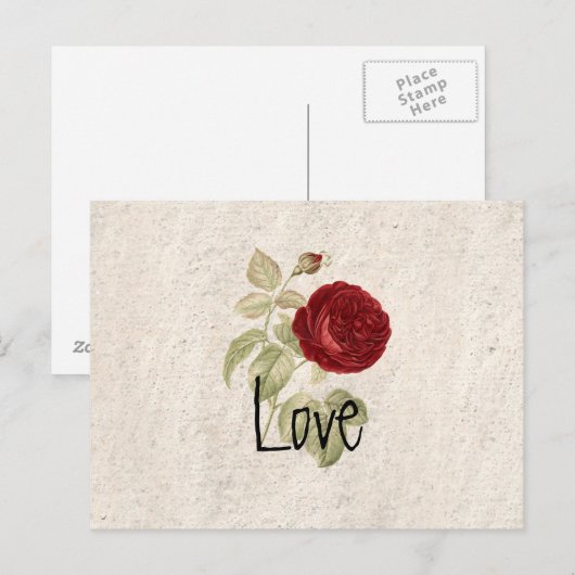  chic Romantic Girly Red Rose Briefkaart (Voorkant / Achterkant)