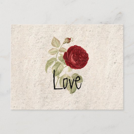 chic Romantic Girly Red Rose Briefkaart (Voorkant)