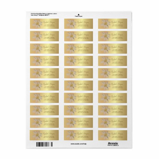 Chic Romantic White Daisy Gold Address Label (Full Sheet)