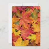 Chic Rustic Fall verlaat Chalk Huwelijksuitnodigin Kaart (Achterkant)