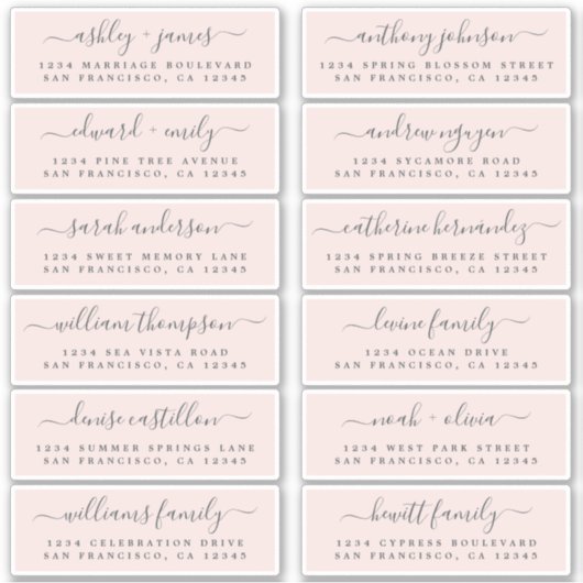 Chic Script Roze Weddenschap Adresetiketten Sticker (Voorkant)