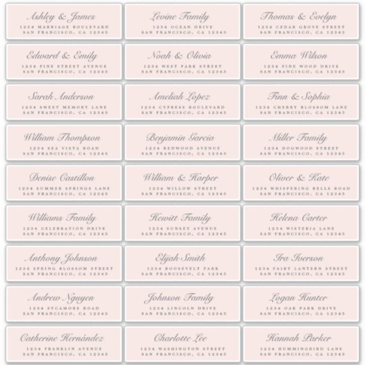 Chic Script Roze Weddenschap Adresetiketten Sticker (Voorkant)