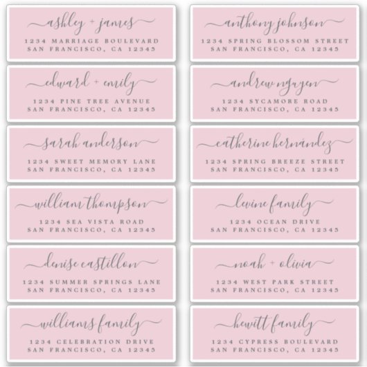 Chic Script Roze Weddenschap Adresetiketten Sticker (Voorkant)