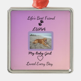 Chic Seasonal Companion Keepsake Metalen Ornament