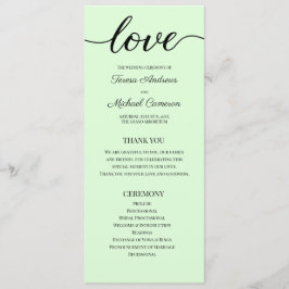 Chic Simple Mint Green Wedding Love Script Programmakaart