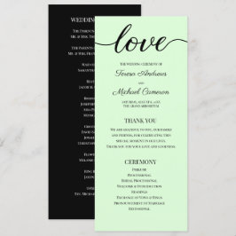 Chic Simple Mint Green Wedding Love Script Programmakaart