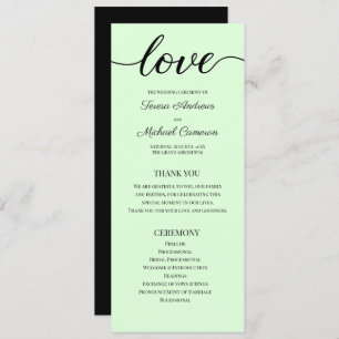 Chic Simple Mint Green Wedding Love Script Programmakaart