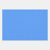 Chic Sky Blues White Polka Dots Pattern Inpakpapier Vel (Voorkant)