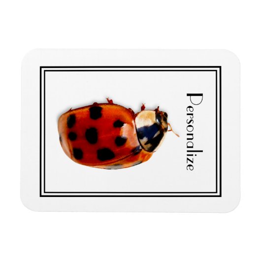 Chic Spoted Ladybug met naam Magneet (Horizontaal)