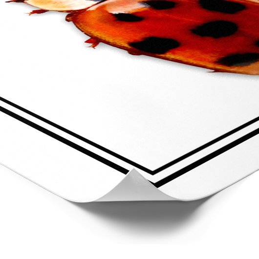 Chic Spoted Ladybug met naam Poster (Hoek)