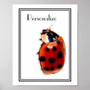 Chic Spoted Ladybug met naam Poster