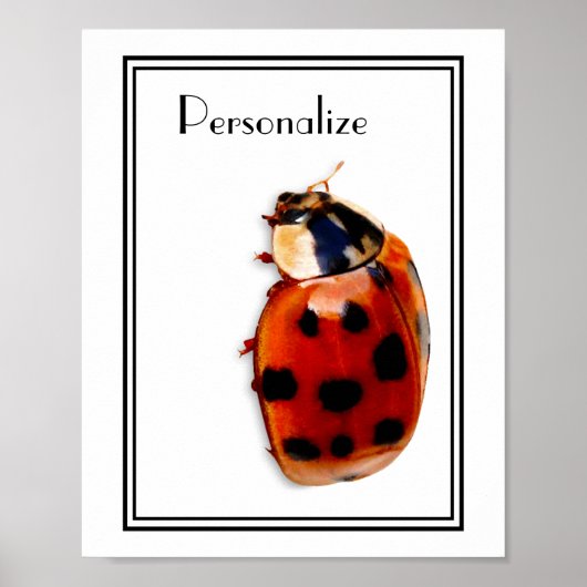Chic Spoted Ladybug met naam Poster (Voorkant)