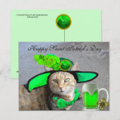 CHIC ST.PATRICK'S DAY CAT, GROENE ROZEN, IRISH BEE BRIEFKAART (Voorkant / Achterkant)