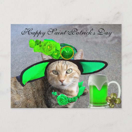 CHIC ST.PATRICK'S DAY CAT, GROENE ROZEN, IRISH BEE BRIEFKAART (Voorkant)