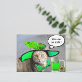 CHIC ST.PATRICK'S DAY CAT, GROENE ROZEN, IRISH BEE BRIEFKAART (Staand voorkant)