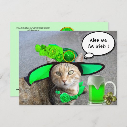 CHIC ST.PATRICK'S DAY CAT, GROENE ROZEN, IRISH BEE BRIEFKAART (Voorkant / Achterkant)