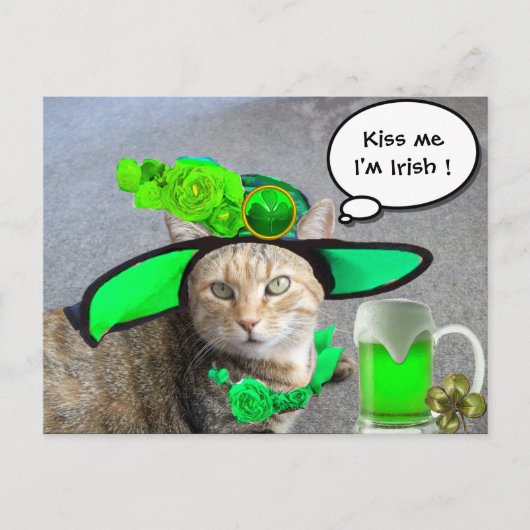 CHIC ST.PATRICK'S DAY CAT, GROENE ROZEN, IRISH BEE BRIEFKAART (Voorkant)