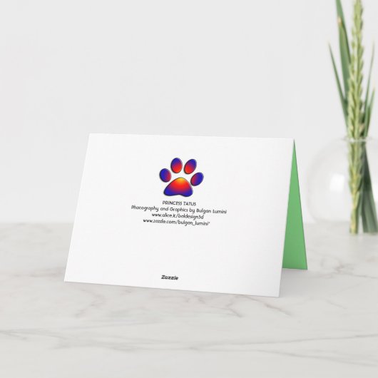 CHIC ST.PATRICK'S DAY CAT, GROENE ROZEN, IRISH BEE KAART (Achterkant)