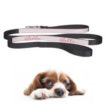 Chic Stylish Cute Pink Stars Dog Puppy Doggy Name