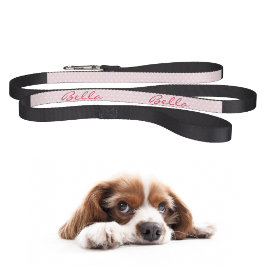 Chic Stylish Cute Pink Stars Dog Puppy Doggy Name Hondenlijn