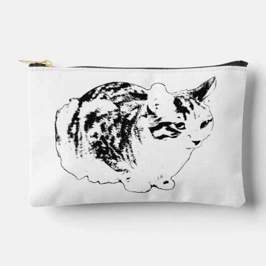 Chic Tabby Lines, Winter Pools Etui (Voorkant)
