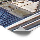 Chicago Art Institute Lion Poster (Hoek)