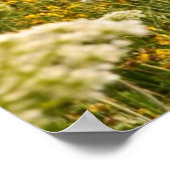 Chicago as seen from Montrose Harbor's bird Poster (Hoek)