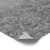 Chicago Athletic Club Poster (Hoek)