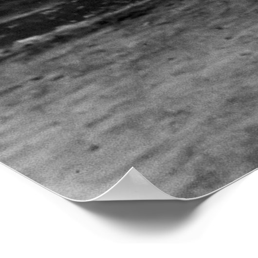 CHICAGO BEER LEVERY c. 1895 Poster (Hoek)