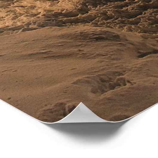 Chicago Blizzard 2011 Poster (Hoek)