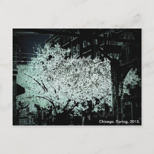 Chicago Blossom Abstract Briefkaart
