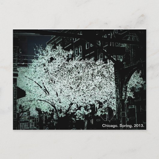 Chicago Blossom Abstract Briefkaart (Voorkant)