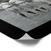 Chicago Cubs Champions Foto 1929 Poster (Hoek)