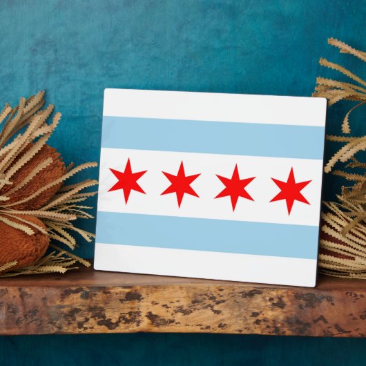 Chicago Flag, Illinois State Plaque Fotoplaat (Zijkant)