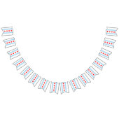 Chicago Flag Party, bunting Banners / bruiloft (Alle)