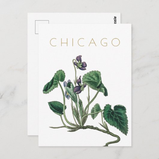  Chicago flower reis midden eeuw Briefkaart (Voorkant / Achterkant)