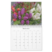 Chicago Flowers, 2011 Kalender (Mar 2027)