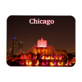 Chicago Fountain Magnet Magneet (Horizontaal)