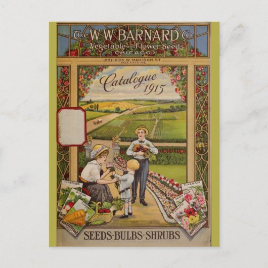  Chicago Gardening Flower Seeds Catalog Briefkaart (Voorkant)