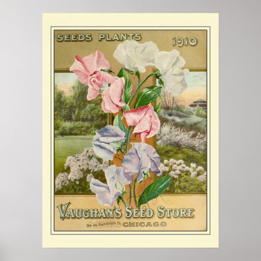  Chicago Gardening Flower Seeds Catalog Poster (Voorkant)