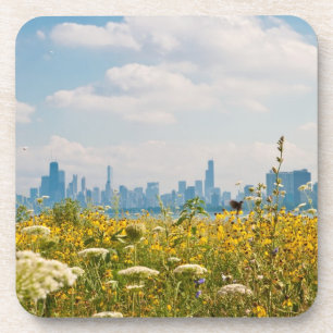 Chicago, gezien van de vogel van Montrose Harbour Bier Onderzetter