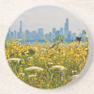 Chicago, gezien van de vogel van Montrose Harbour Zandsteen Onderzetter