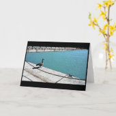 Chicago Goose Kaart (Gele Bloem)