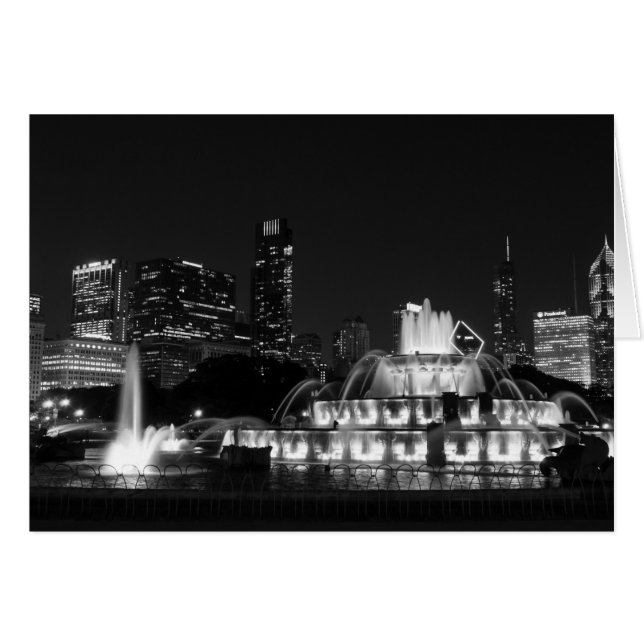 Chicago Grant Park Grayscale (Voorkant Horizontaal)