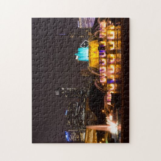 Chicago Grant Park Legpuzzel (Verticaal)